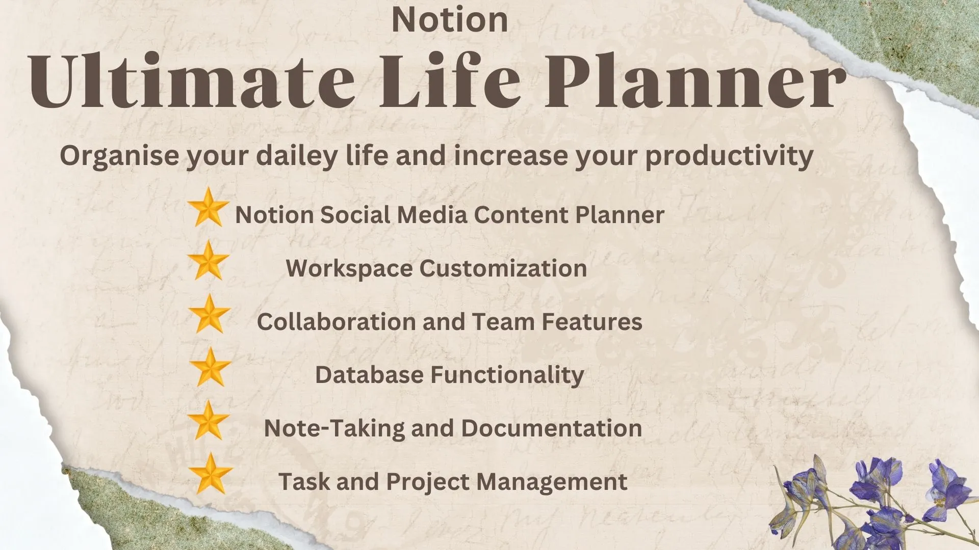 Notion Social Media Content Ülanner